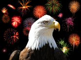 wealthy eagle works at Wealth Education