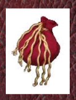 Wizard bag of gold from Wealth education 