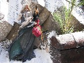 The wizard's quest for improving Wealth education 
